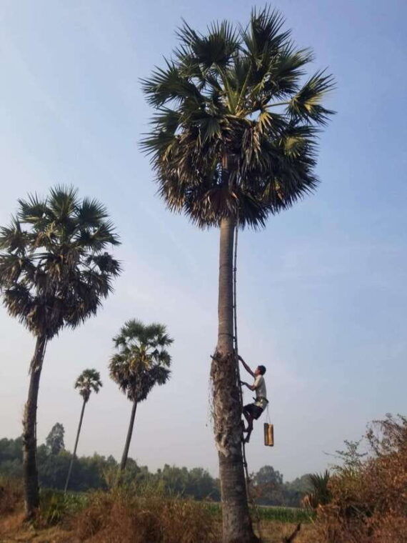 siem-reap-authentic-village-tour-with-ox-cart-ride