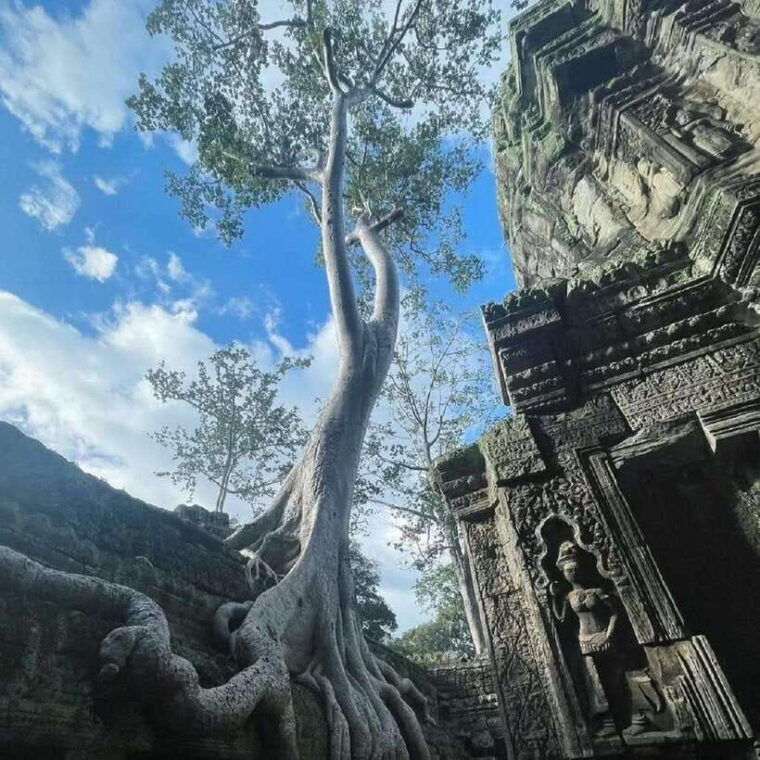 siem-reap-boat-tour-to-floating-village-kompong-phluk