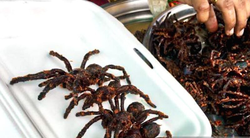 Siem Reap: Cambodia local street foods and local guide - The Sum Up