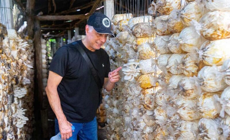 Siem Reap Cooking Class & Culinary Vespa Adventure - The Experience Provider: Vespa Backstreet