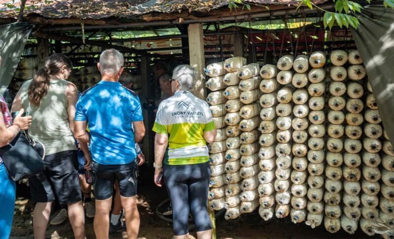 Siem Reap: Countryside Bike Tour - Farms, Temples & Snacks - Value and Practical Considerations