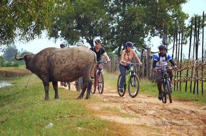 Siem Reap Countryside Discovery By Bicycle - FAQs