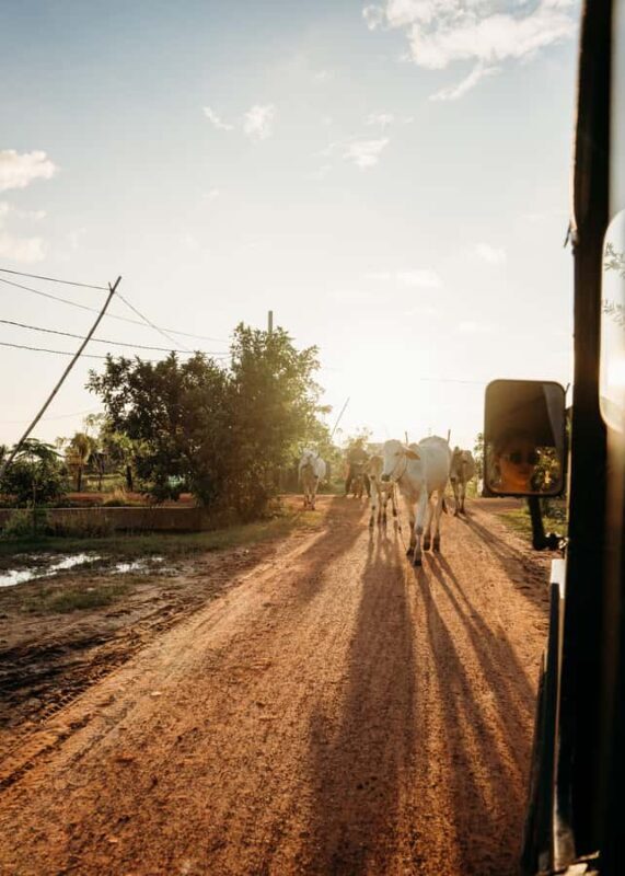 Siem Reap: Countryside Golden Hour Sunset Tour by Tuktuk - FAQ