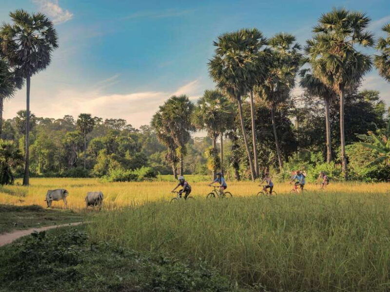 siem-reap-countryside-guided-tour-by-bike-and-e-bike