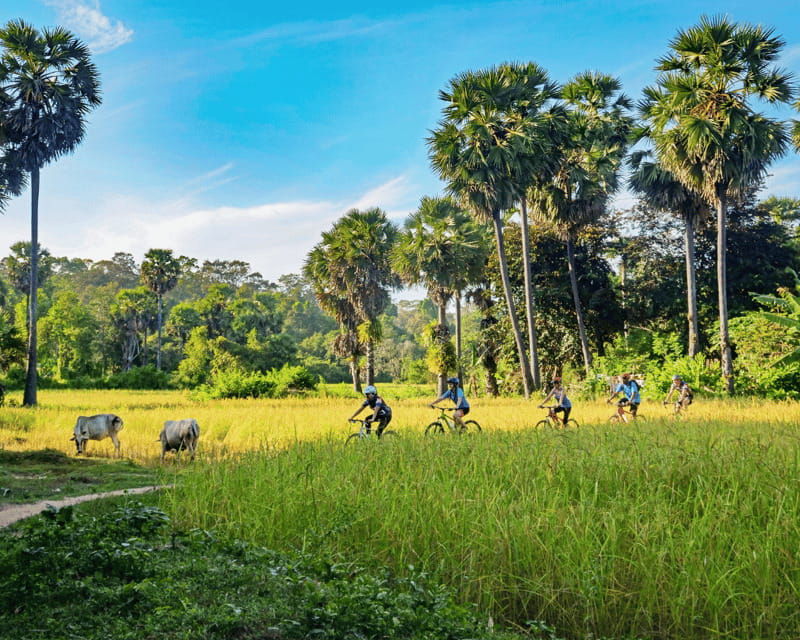 siem-reap-countryside-guided-tour-by-bike-and-e-bike