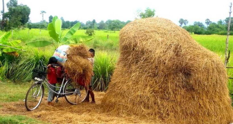 siem-reap-countryside-jeep-tour-3-hours