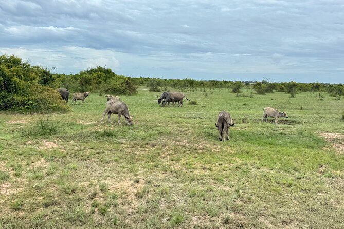 Siem Reap Countryside Quad Bike Adventure - FAQs