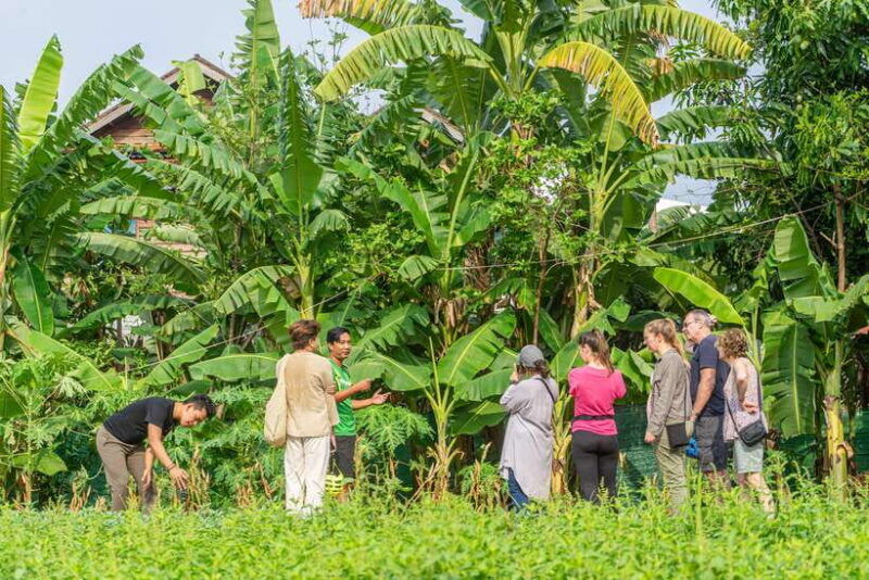 siem-reap-countryside-sunset-bike-ride