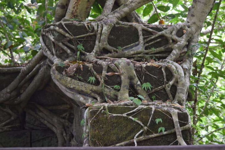 siem-reap-day-trip-to-koh-ker-and-beng-mealea-temples