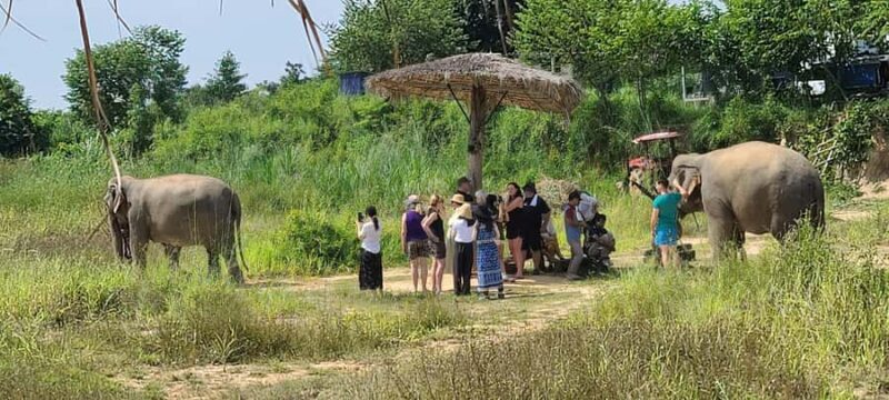 Siem Reap: Elephant Sanctuary Guided Tour - An In-Depth Look at the Siem Reap Elephant Sanctuary Tour