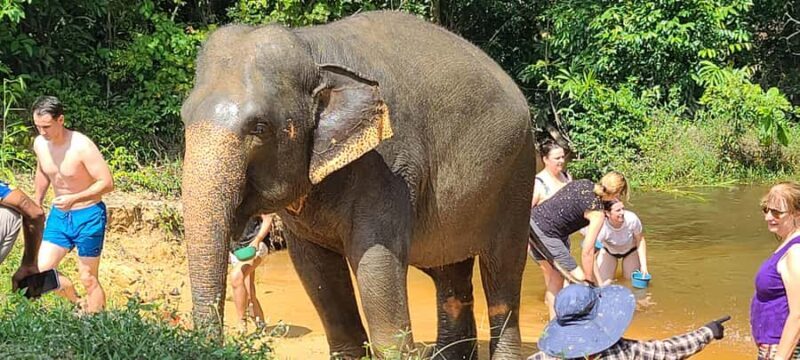Siem Reap: Elephant Sanctuary Guided Tour - FAQ