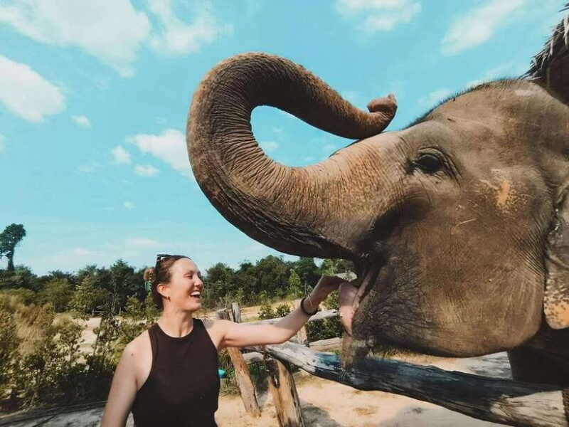 siem-reap-elephant-sanctuary-included-hotel-pickup-drop-off