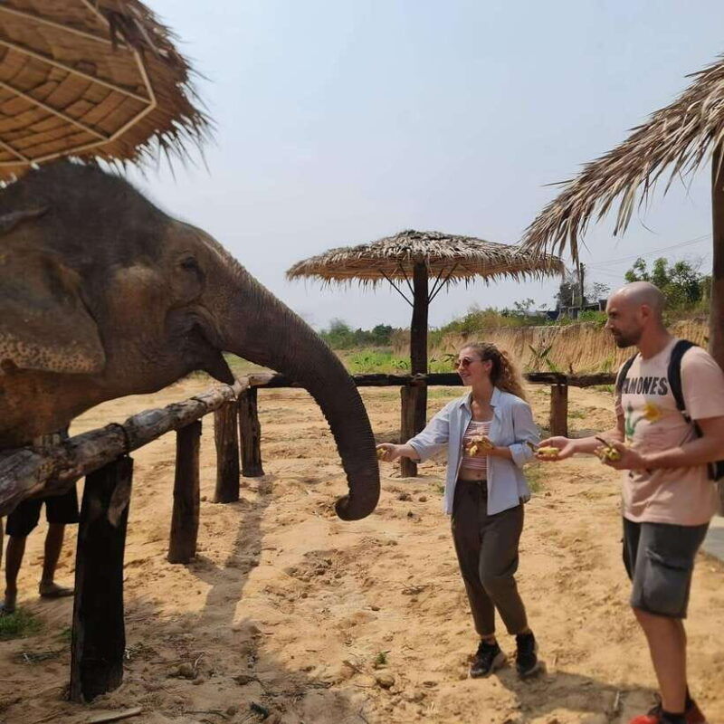 siem-reap-elephant-sanctuary-included-hotel-pickup-drop-off