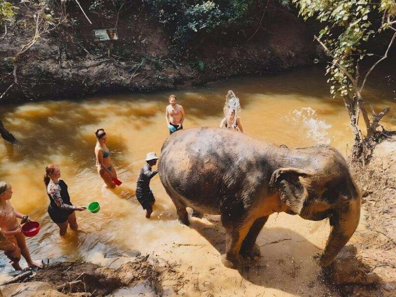 siem-reap-elephant-sanctuary-included-hotel-pickup-drop-off