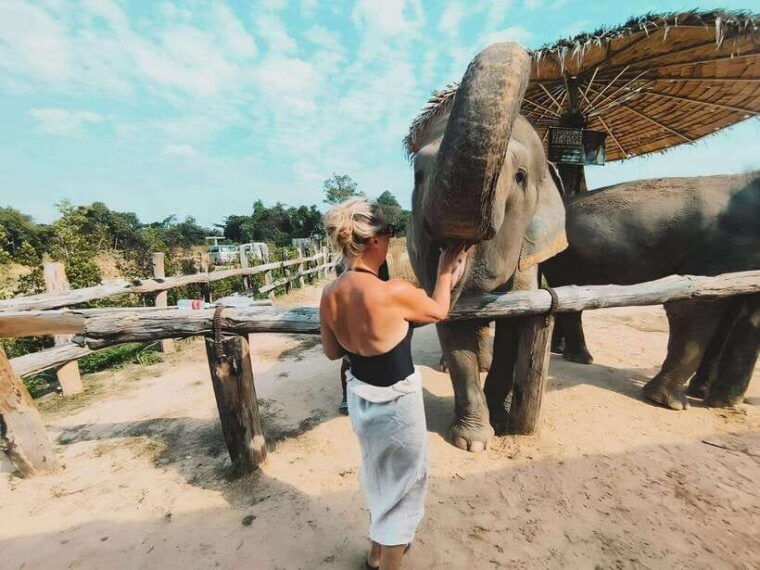 siem-reap-elephant-sanctuary-included-hotel-pickup-drop-off