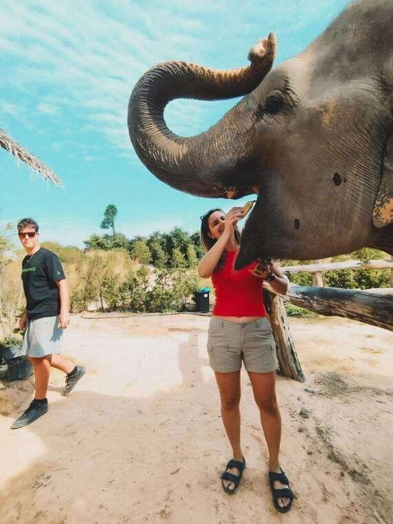 siem-reap-elephant-sanctuary-included-hotel-pickup-drop-off