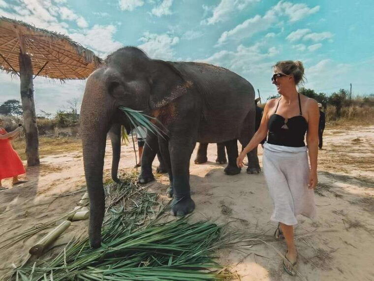 siem-reap-elephant-sanctuary-included-hotel-pickup-drop-off