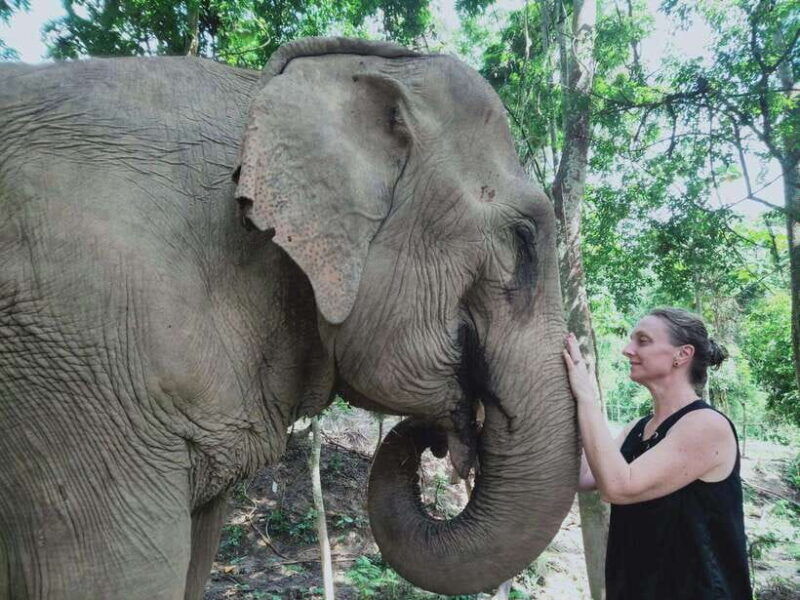 siem-reap-elephants-apopo-rat-demining-private-trip