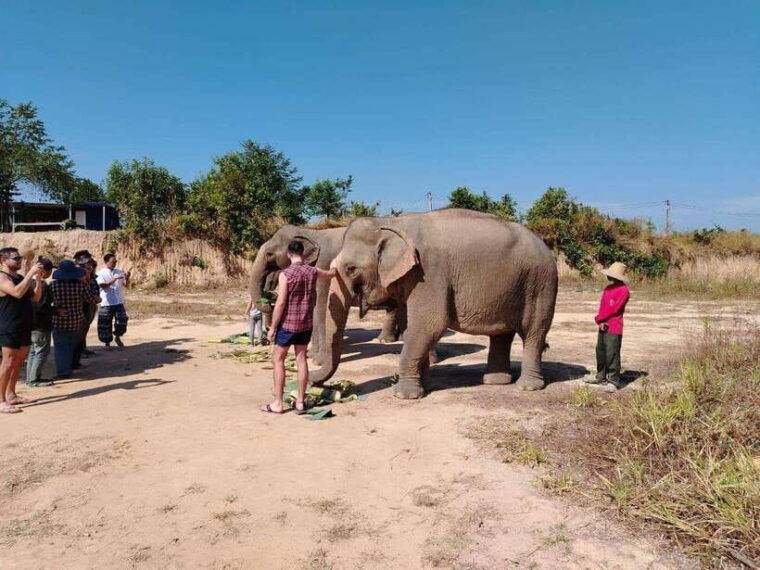 siem-reap-elephants-apopo-rat-demining-private-trip