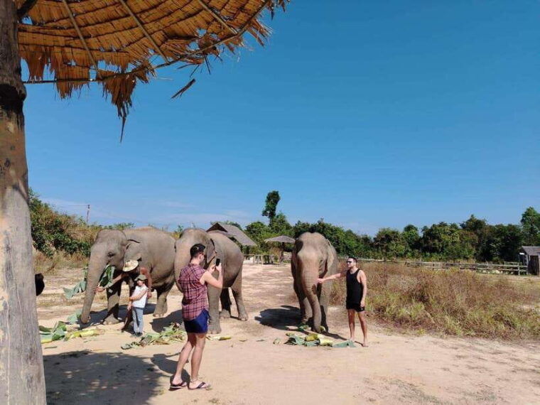 siem-reap-elephants-apopo-rat-demining-private-trip