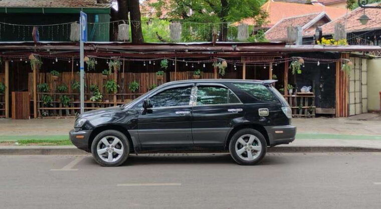 siem-reap-elephants-apopo-rat-demining-private-trip