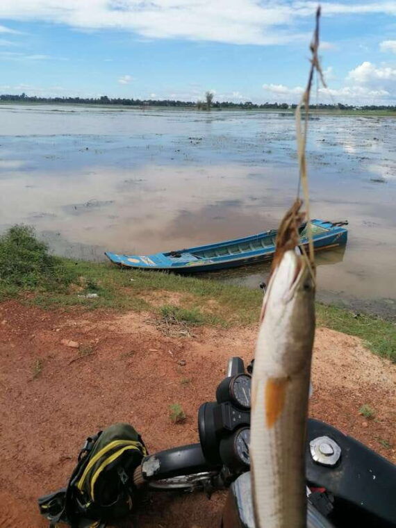 siem-reap-fishing-in-the-rice-fields-in-the-villages-of-siem-reap