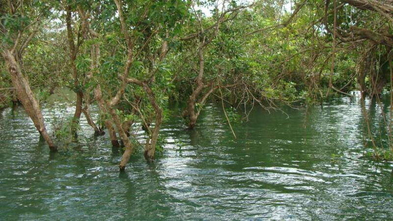 siem-reap-floating-village-tour-kompong-phluk-tour