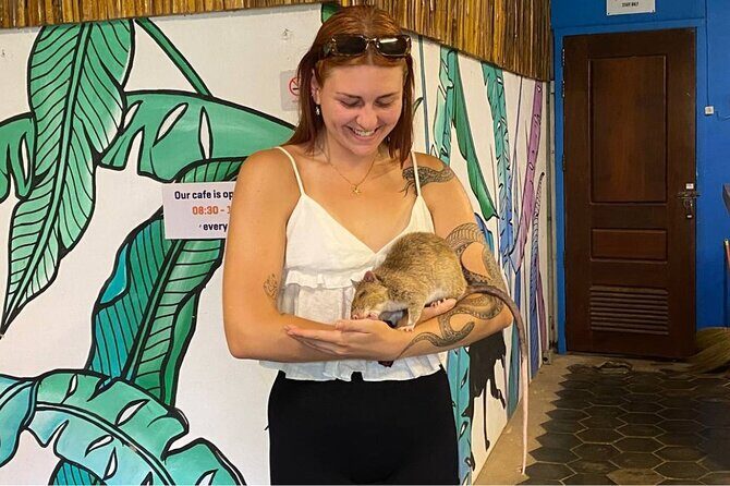 Siem Reap Guided Tour & Hero RATs at APOPO Visitor Center - The Sum Up: Who Will Love This Tour?