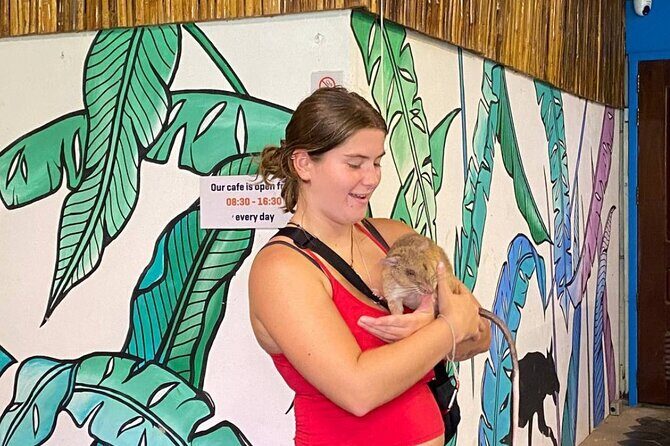 Siem Reap Guided Tour & Hero RATs at APOPO Visitor Center - FAQs