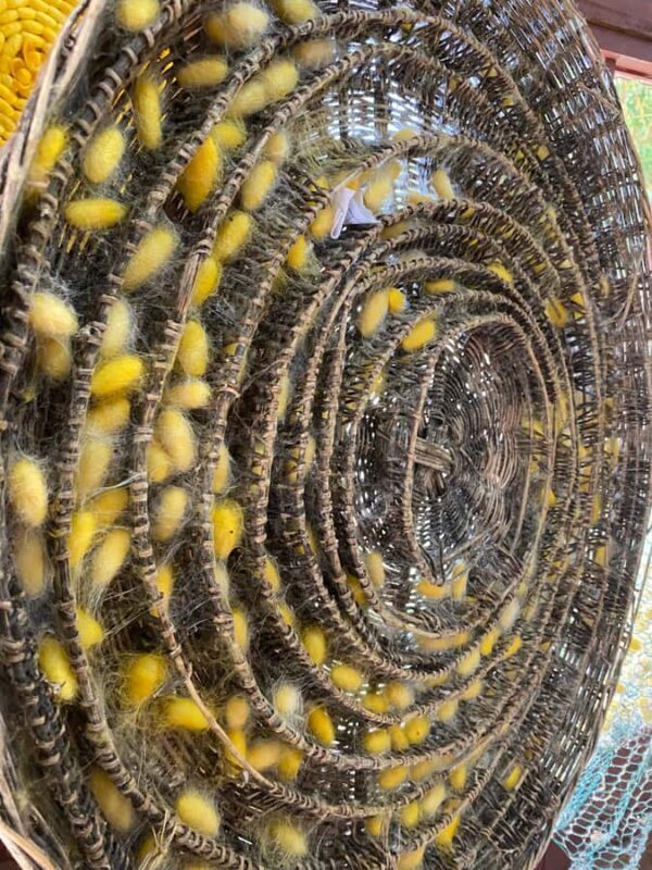 Siem Reap Half-day: Silk Farm & Countryside Discovery Tour - FAQ