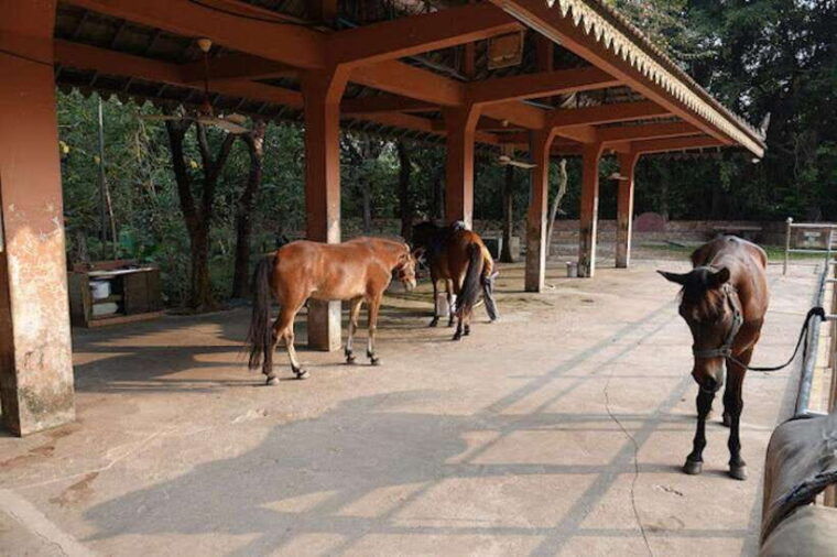 siem-reap-happy-horse-riding-free-pick-up-drop-off