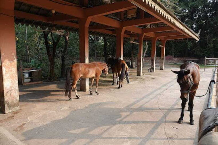 siem-reap-happy-horse-riding-free-pick-up-drop-off