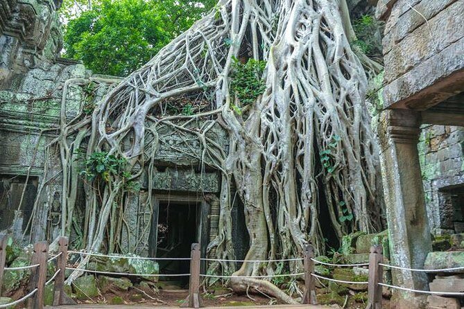 Siem Reap Highlight Angkor Wat Sunset Tour Small Group - Final Thoughts: Is It Worth It?