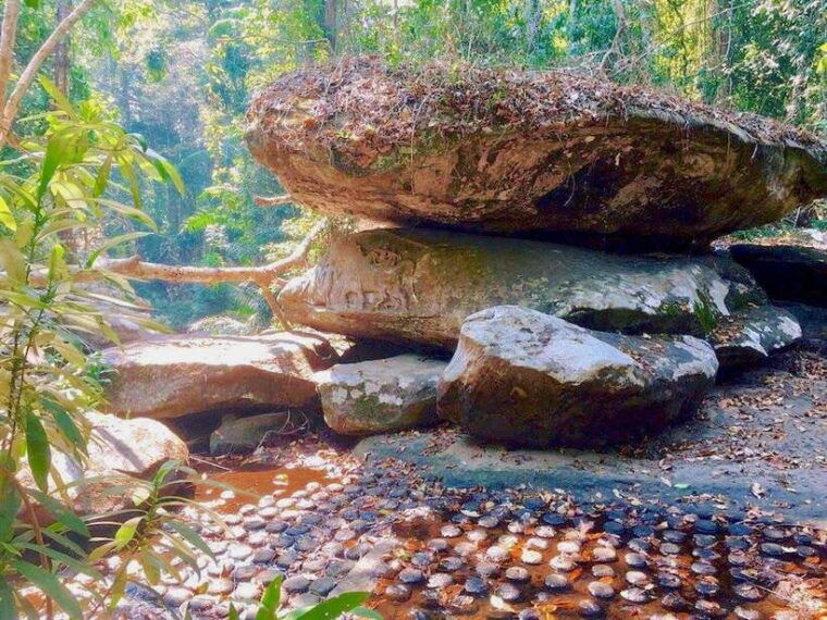 siem-reap-kbal-spean-and-banteay-srei-temple-private-hike