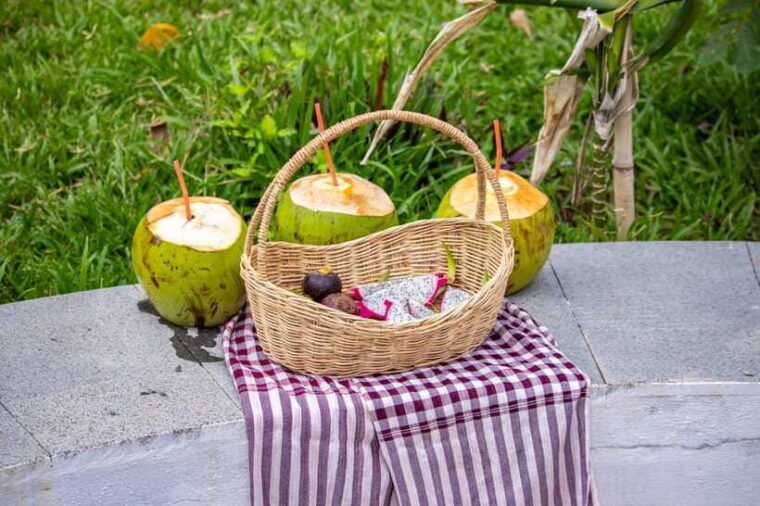 siem-reap-khmer-water-blessing-by-monk-and-lotus-farm-visit