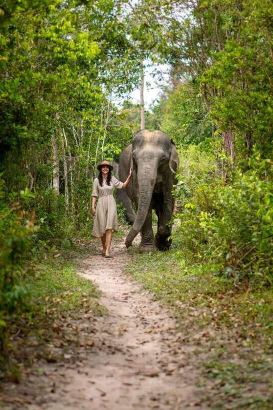 siem-reap-kulen-elephant-forest-guided-tour