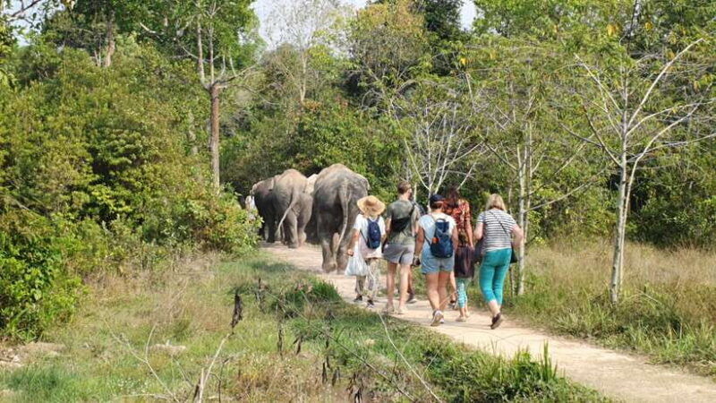 siem-reap-kulen-elephant-forest-guided-tour