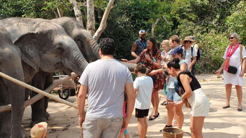 siem-reap-kulen-elephant-forest-guided-tour