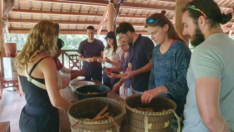 siem-reap-kulen-elephant-forest-guided-tour