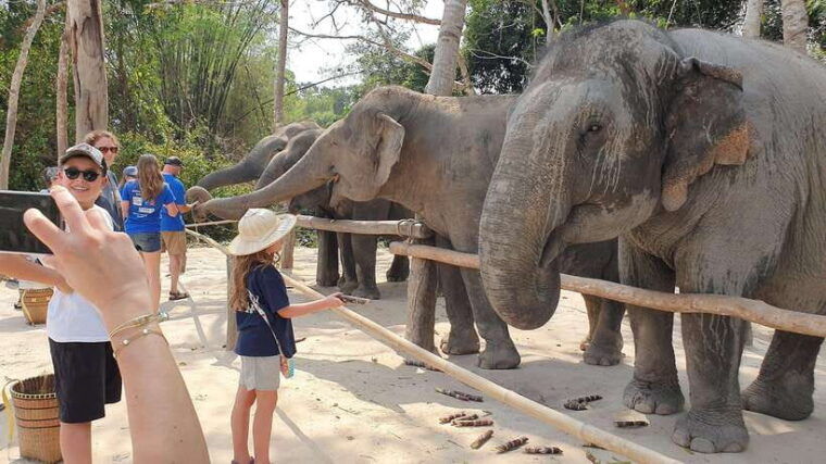 siem-reap-kulen-elephant-forest-guided-tour