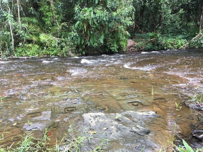 Siem Reap: Kulen Mountain Waterfall Small-group Tour - A Deep Dive into the Experience