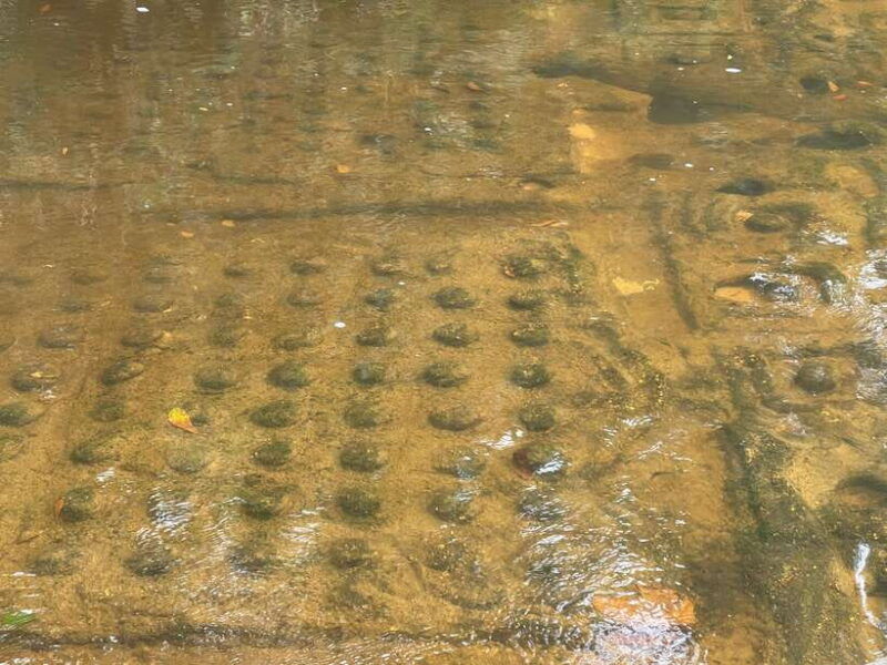 siem-reap-kulen-waterfall-and-1000-linga-river-tour