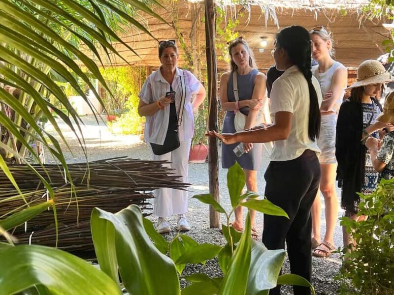 Siem Reap: Market, Temple, and Countryside Bike Tour - The Sum Up: The Ideal Experience for Curious Explorers