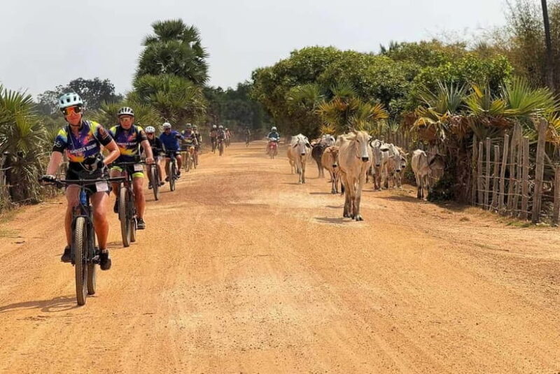 Siem Reap Nature & Cultural Safari Cycling Adventure - Introduction