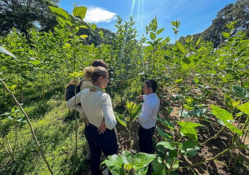 Siem Reap Nature & Cultural Safari Cycling Adventure - Exploring Tonle Sap Lake and Its Communities
