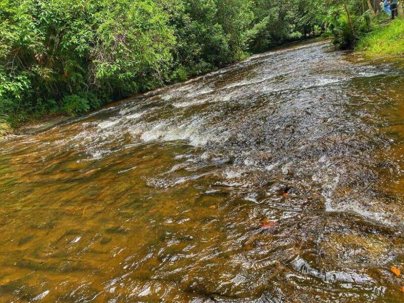 siem-reap-phnom-kulen-banteay-srei-and-banteay-samre-tour