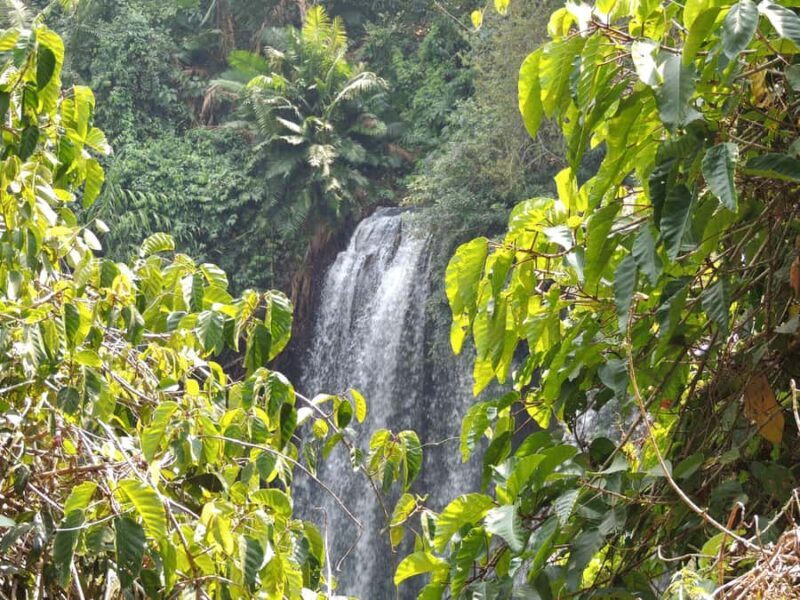 Siem Reap: Phnom Kulen Waterfall Tour - An Overview of the Phnom Kulen Waterfall Tour