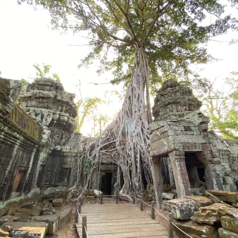 Siem Reap: Private Custom Angkor Wat Tour with Local Guide - Final Thoughts: Who Should Book This Tour?