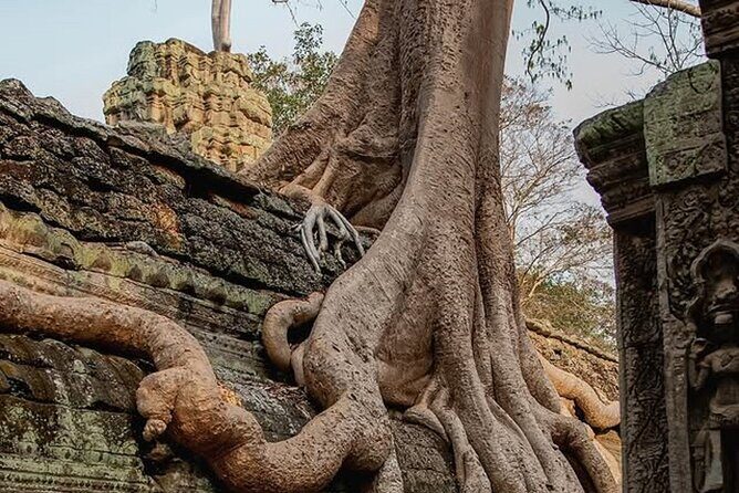 Siem Reap Private Full Day Angkor Wat Tour with Sunset or Sunrise - What to Expect from the Tour