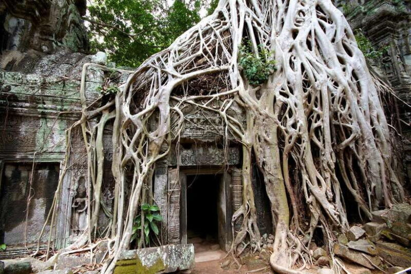 Siem Reap: Private Tour of Angkor Complex - Exploring the Angkor Complex: What to Expect